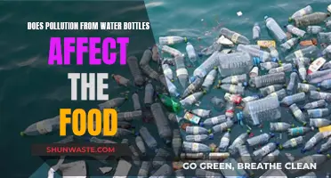 Water Bottle Pollution: Impact on Food and Health