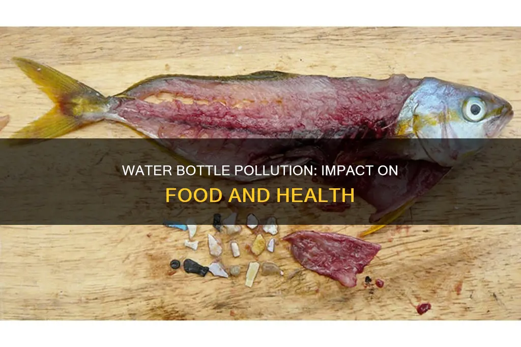 does pollution from water bottles affect the food