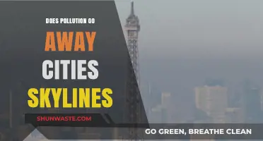 How Pollution Vanishes in Cities: Skylines
