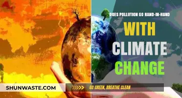 Climate Change: Pollution's Dark Twin