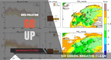 The Rise of Pollution: A Global Concern
