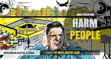 Pollution's Harmful Impact on Human Health