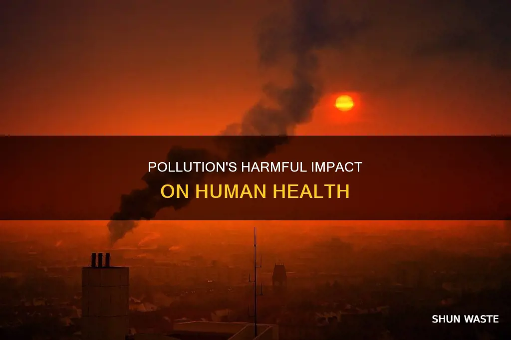does pollution harm people