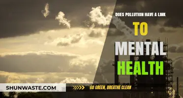Pollution's Mental Health Impact: Exploring the Dark Connection