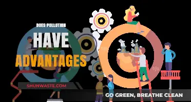 Pollution's Silver Lining: Exploring the Unexpected Benefits