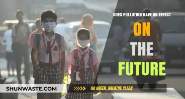 Pollution's Impact: Our Future at Stake