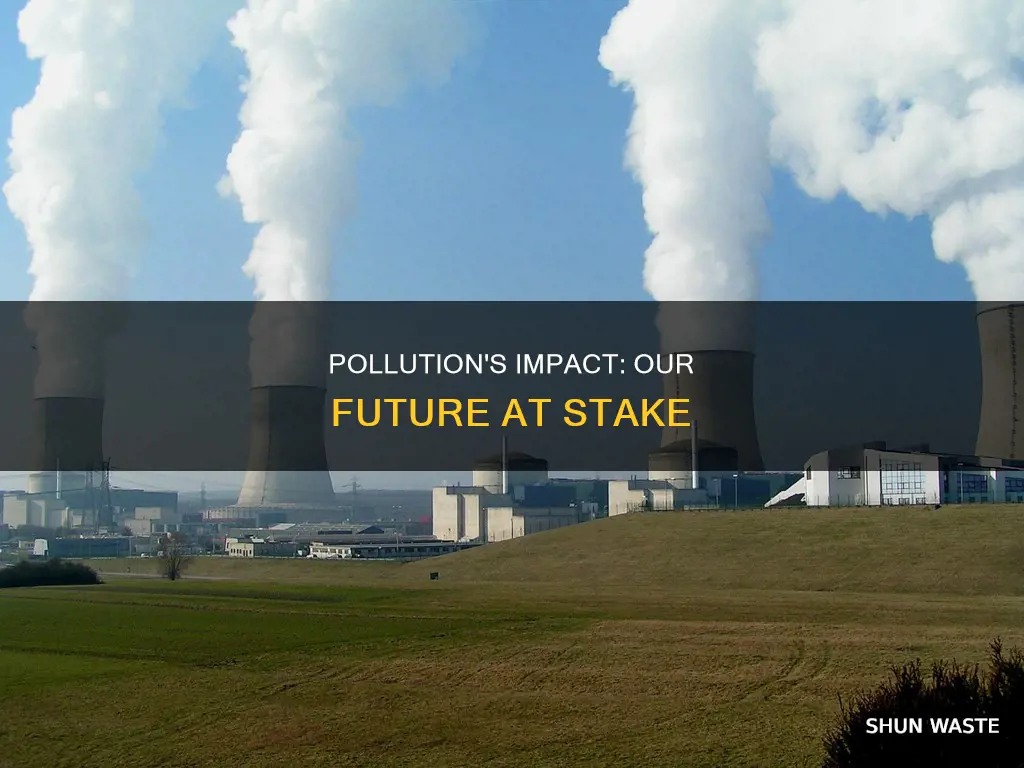 does pollution have an effect on the future