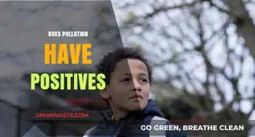 Pollution's Silver Lining: Exploring the Positives and Negatives
