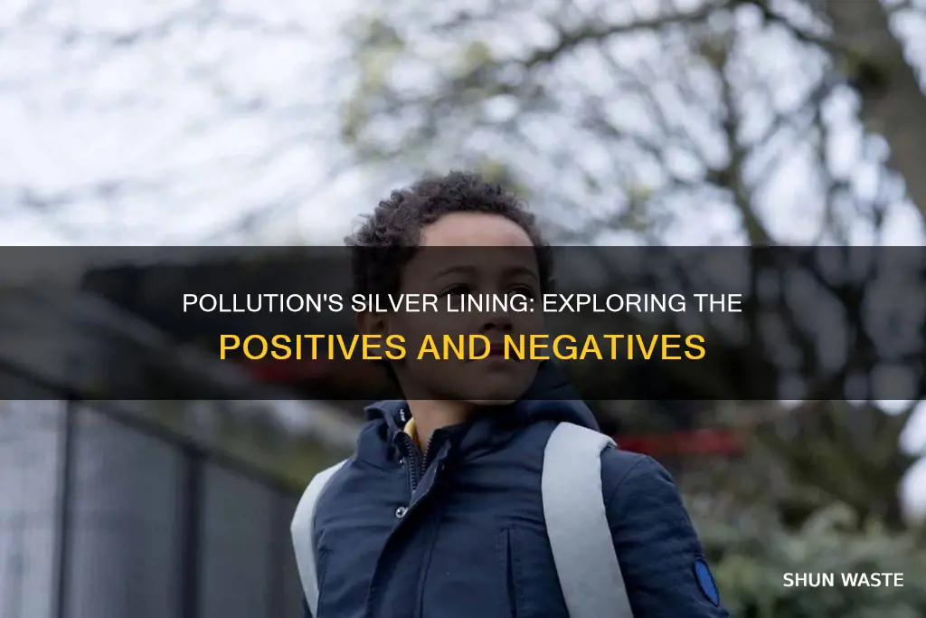does pollution have positives