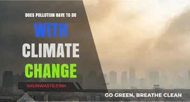 Climate Change: Pollution's Impact and Our Future