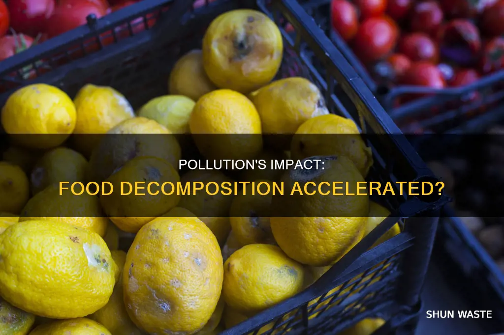 does pollution impact food decomposition