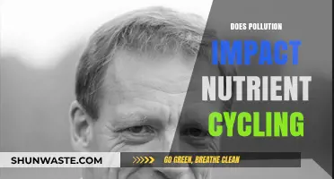 Pollution's Impact: Nutrient Cycling Disruption