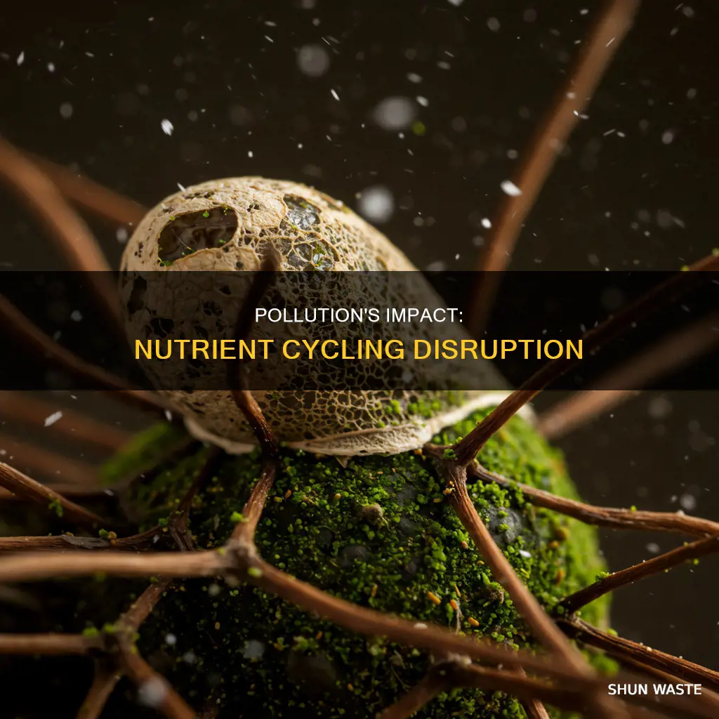 does pollution impact nutrient cycling