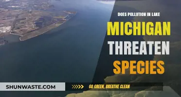 Lake Michigan Pollution: A Threat to Aquatic Life?