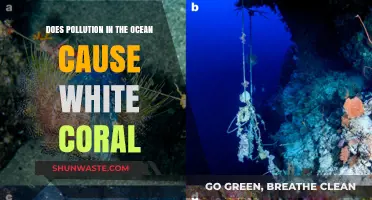 Ocean Pollution's Impact: Unveiling the Mystery of White Coral