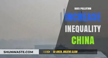 Pollution's Inequality Impact in China