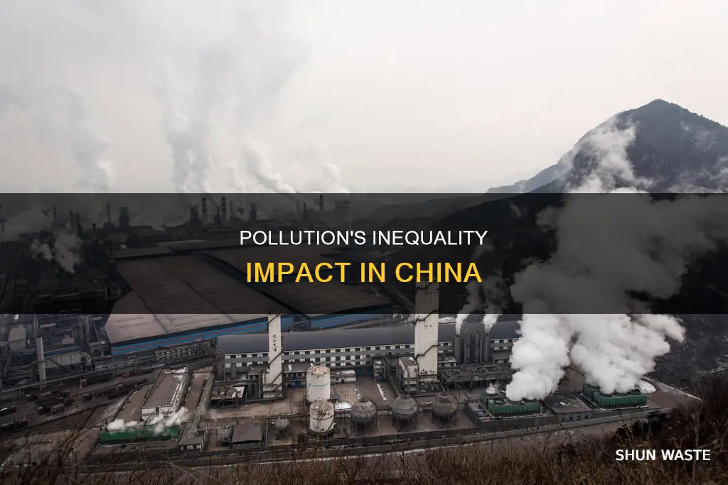 does pollution increase inequality china