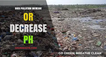How Pollution Affects pH Levels