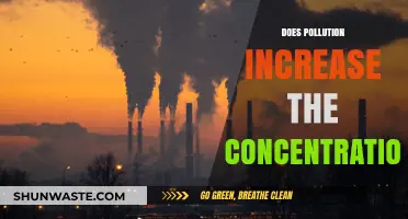 How Pollution Affects Concentration Levels
