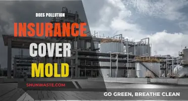 Mold and Pollution Insurance: What's Covered?