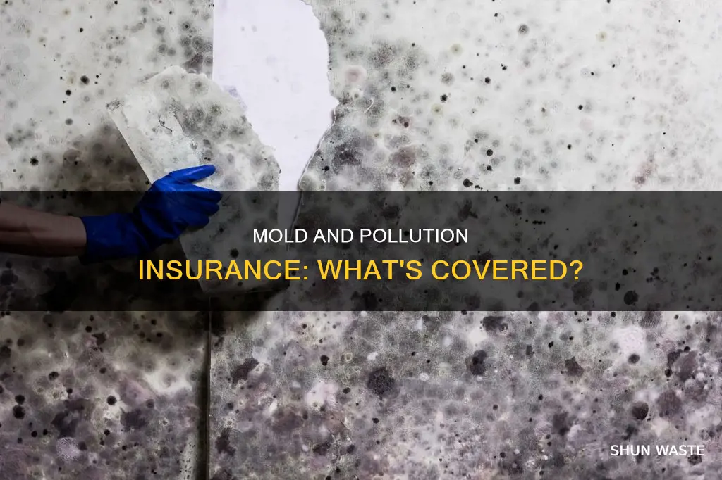 does pollution insurance cover mold