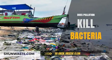 How Pollution Affects Bacteria: A Complex Relationship
