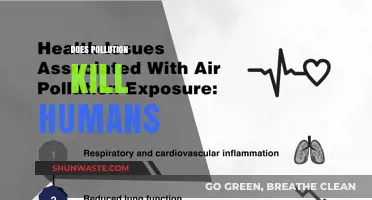 Pollution's Deadly Impact: Killing Humans Silently