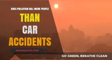 Pollution vs Car Accidents: Who's the Deadlier Killer?