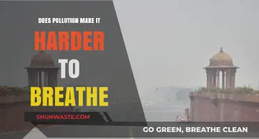 How Pollution Impacts Our Ability to Breathe