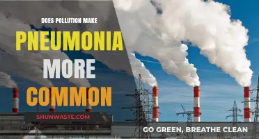 Pollution's Link to Pneumonia: A Health Warning