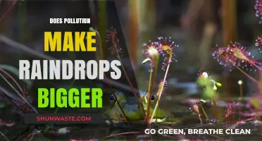 How Pollution Affects Raindrop Size