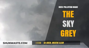 How Pollution Turns the Sky Grey
