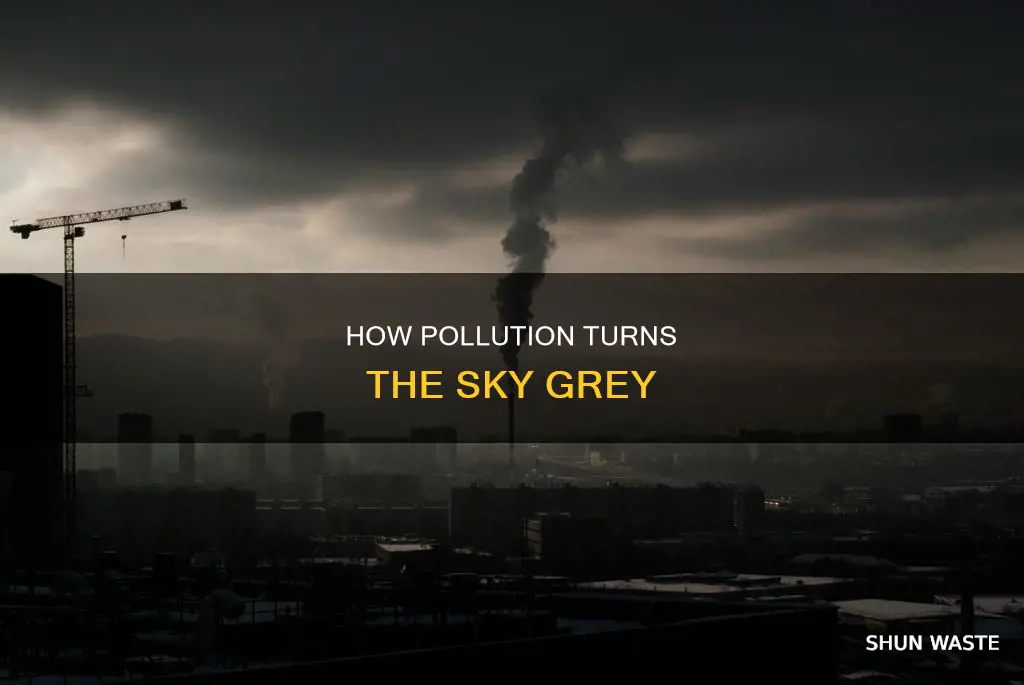 does pollution make the sky grey
