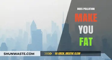 Pollution's Effect: Is Obesity the New Concern?