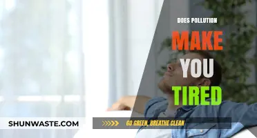 Pollution's Impact: Why You're Feeling Fatigued