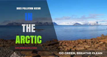 Arctic Pollution: A Real and Present Danger