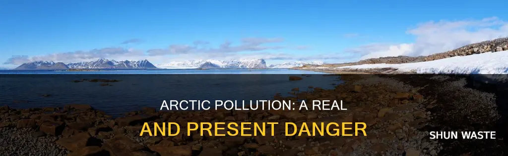 does pollution occur in the arctic