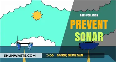 Sonar and Pollution: A Murky Mix