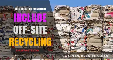 Recycling's Role in Pollution Prevention