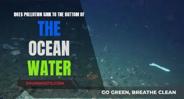 Ocean Depths: Pollution's Journey to the Bottom