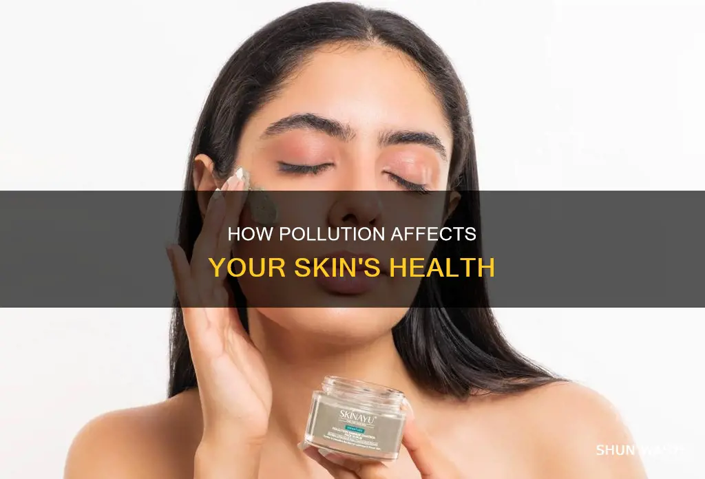 does pollution stay on skin