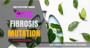 Pollution's Link to Cystic Fibrosis Mutation Explored