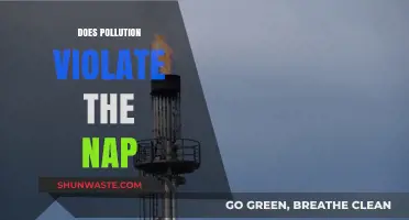Pollution's Harmful Effects: Violating the Non-Aggression Principle