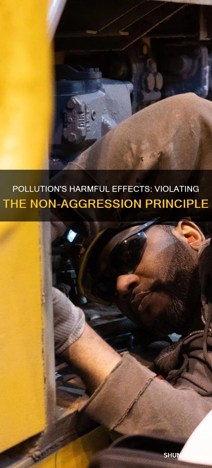 does pollution violate the nap
