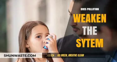 Pollution's Impact: Weakening Our Immune Systems