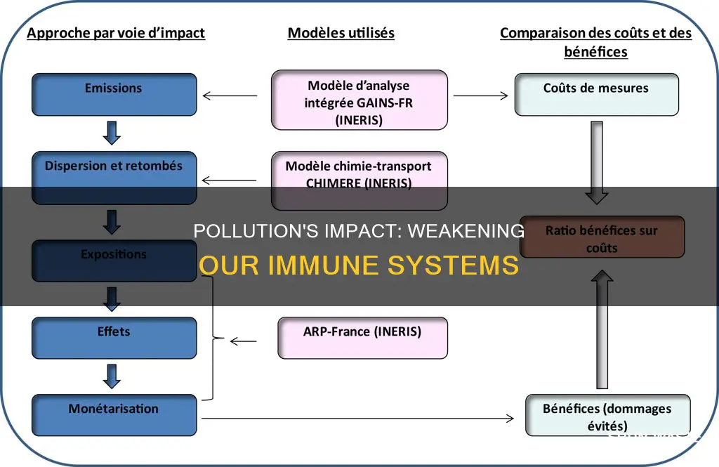 does pollution weaken the sytem