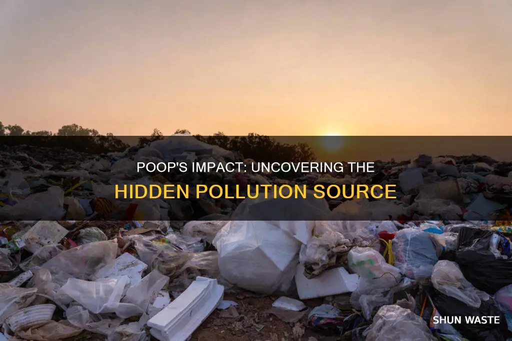 does poop cause pollution