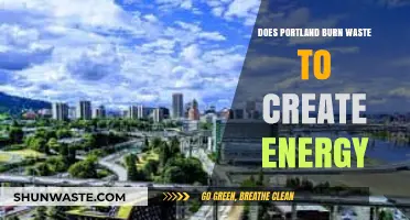 Portland's Waste-to-Energy Strategy: Sustainable Solution or Environmental Concern?
