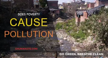 The Complex Link: Poverty, Pollution, and Environmental Justice