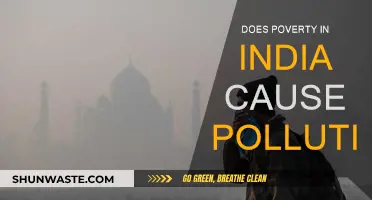 India's Poverty Paradox: A Polluted Legacy?